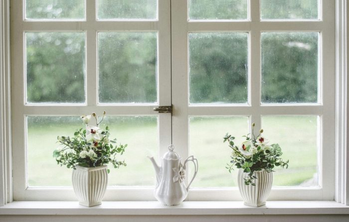 Homeowner’s Guide to Windows